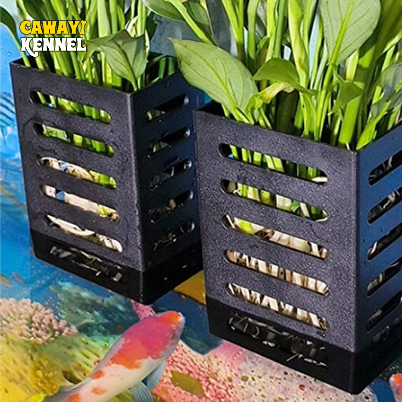 Aquarium Plants Live - Pet Balık Tankı Süslemeleri Akvaryum Bitki