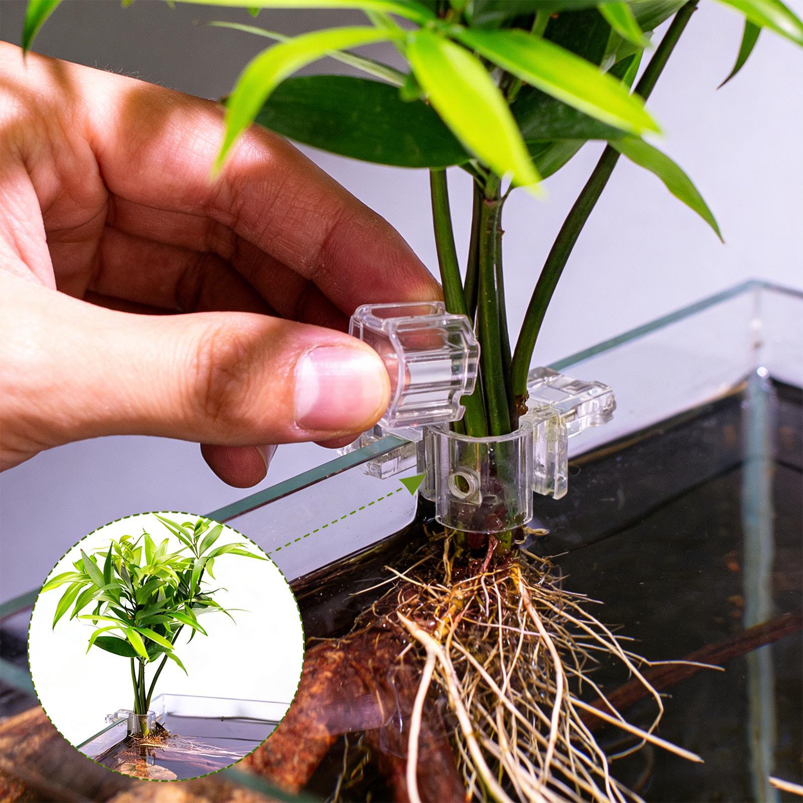 Aquarium Fertilizer - Mini Balık Tankı Saksı 6 Adet