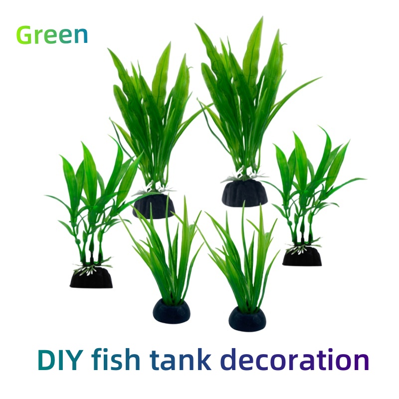 Aquarium Plants Live - 6 adetlik paketler halinde sunulan akvaryum