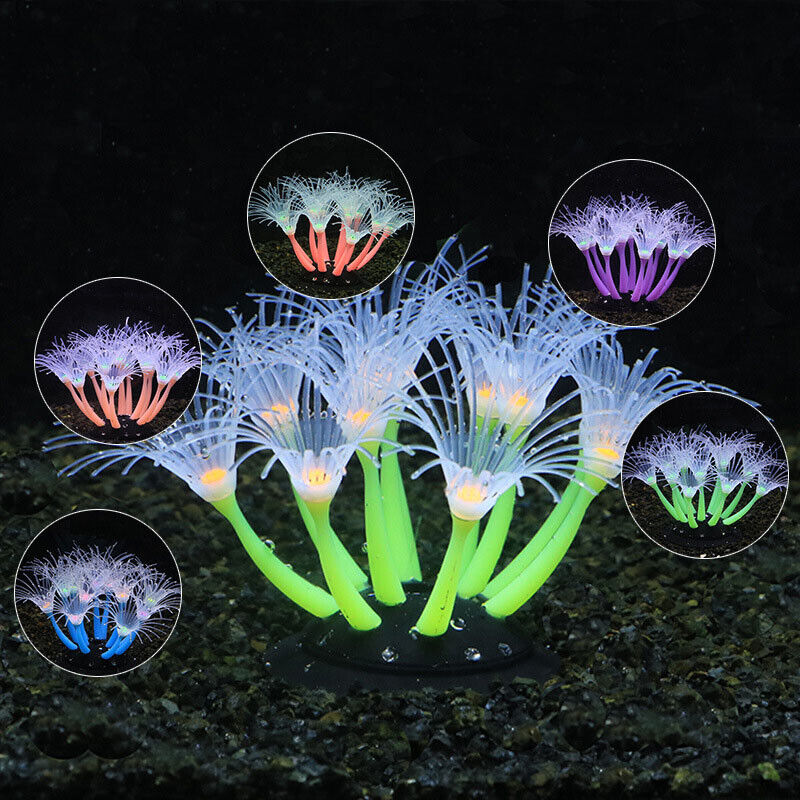 Silikon Parlayan Peyzaj Yapay  - Aquarium Plants Live incelemesi ve fiyatı