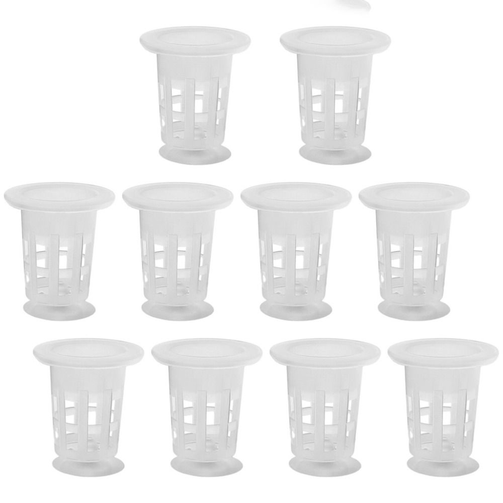 10 adet şeffaf bitki topraksız - Plant Aquarium Pot incelemesi ve fiyatı