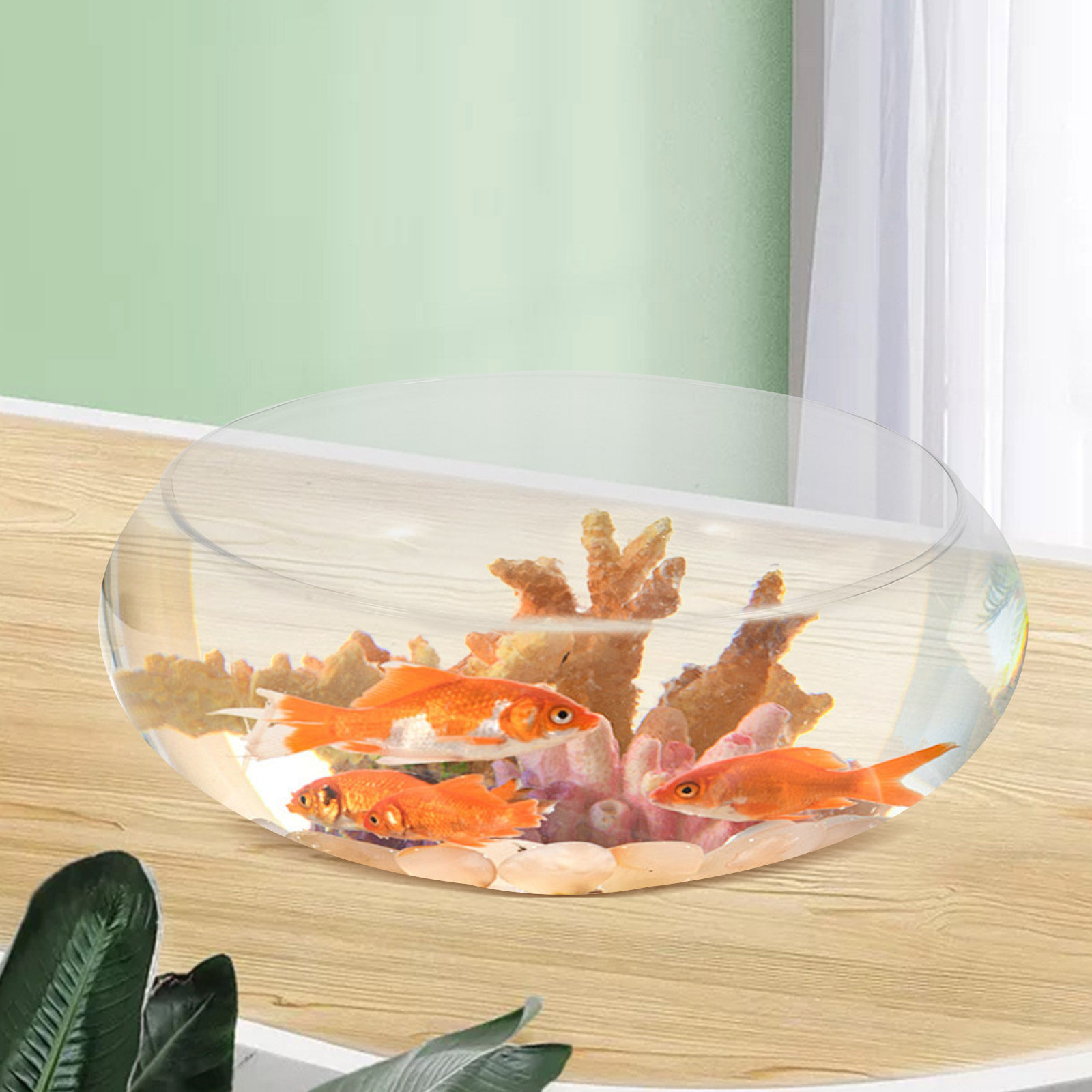 Cam Balık Kasesi, Küçük Balık  - Plant Aquarium Pot incelemesi ve fiyatı
