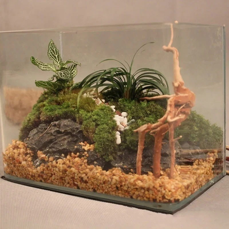 Doğal ağaç gövdesi Driftwood a - Aquarium Plants Live incelemesi ve fiyatı