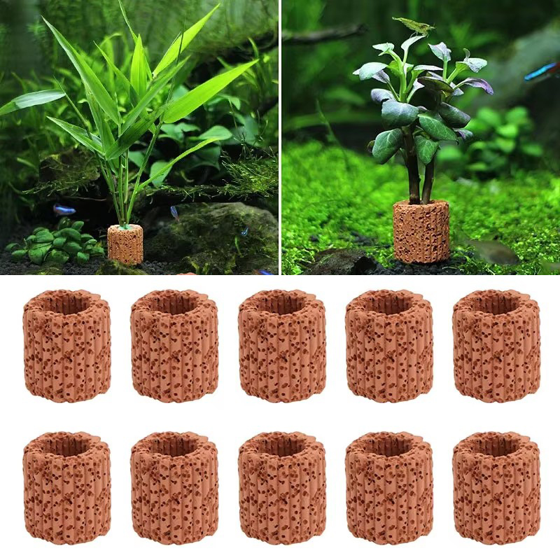Su bitkisi sabit halka akvaryu - Aquarium Plants Live incelemesi ve fiyatı