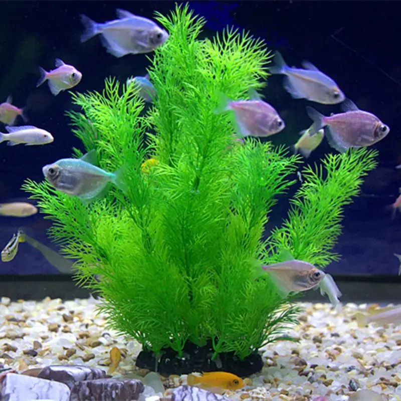 Yapay Akvaryum Dekor Bitkiler  - Aquarium Plants Live incelemesi ve fiyatı