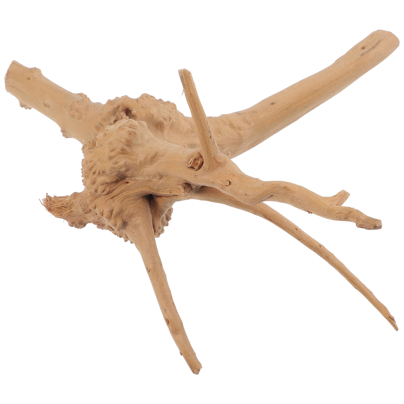 Balık Tankı için Doğal Ağaç Kö - Aquarium Driftwood incelemesi ve fiyatı