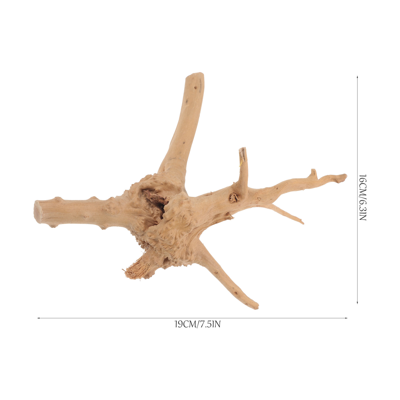 Balık Tankı için Doğal Ağaç Kö - Aquarium Driftwood incelemesi ve fiyatı