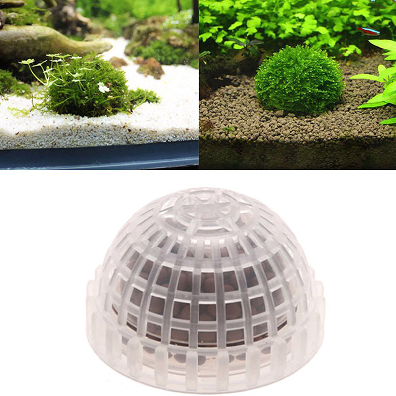 .1 Adet Su Evcil Hayvan Malzem - Live Plant Aquarium incelemesi ve fiyatı