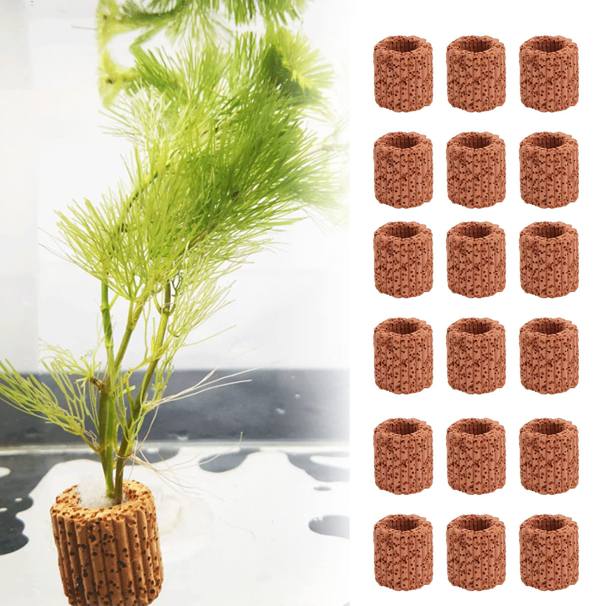 10/20 adet sucul su tesisi sab - Plant Aquarium Pot incelemesi ve fiyatı