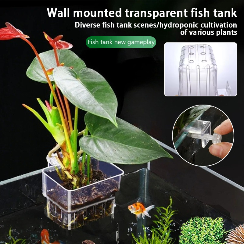 Akvaryum Asma Saksıları Duvara - Plant Aquarium Pot incelemesi ve fiyatı