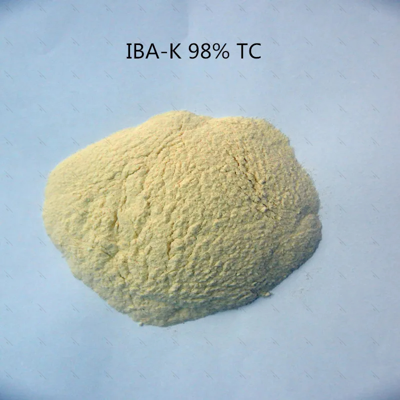 10Gram-1KG 98% IBA-K Suda Çözü - Aquarium Fertilizer incelemesi ve fiyatı