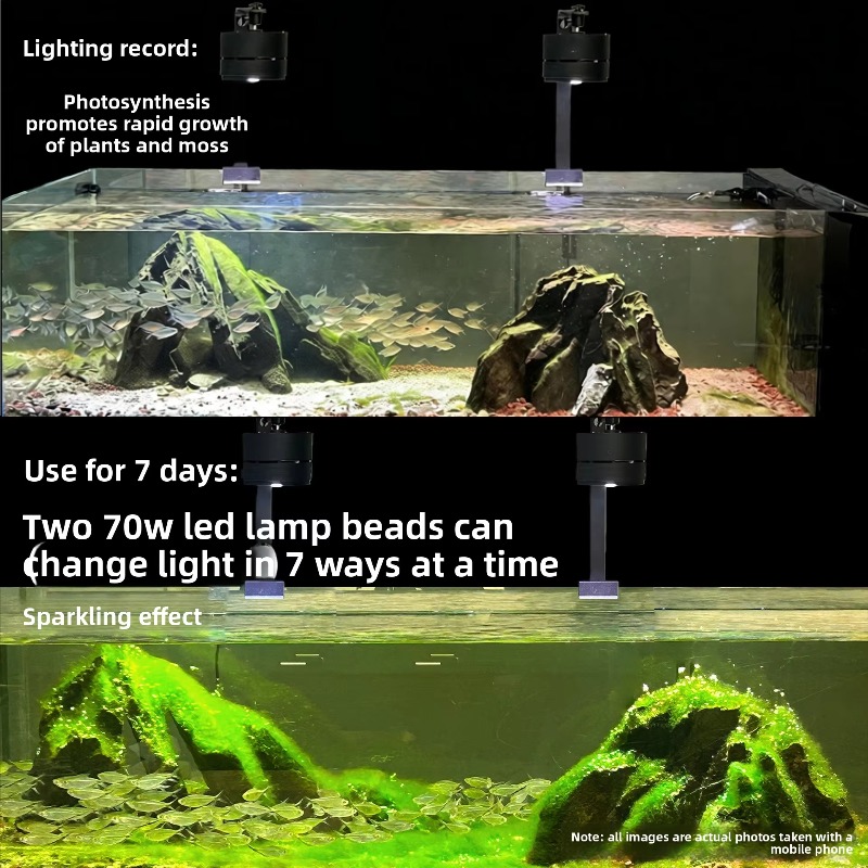 2026 Tam Spektrumlu LED Akvary - Aquarium Moss incelemesi ve fiyatı