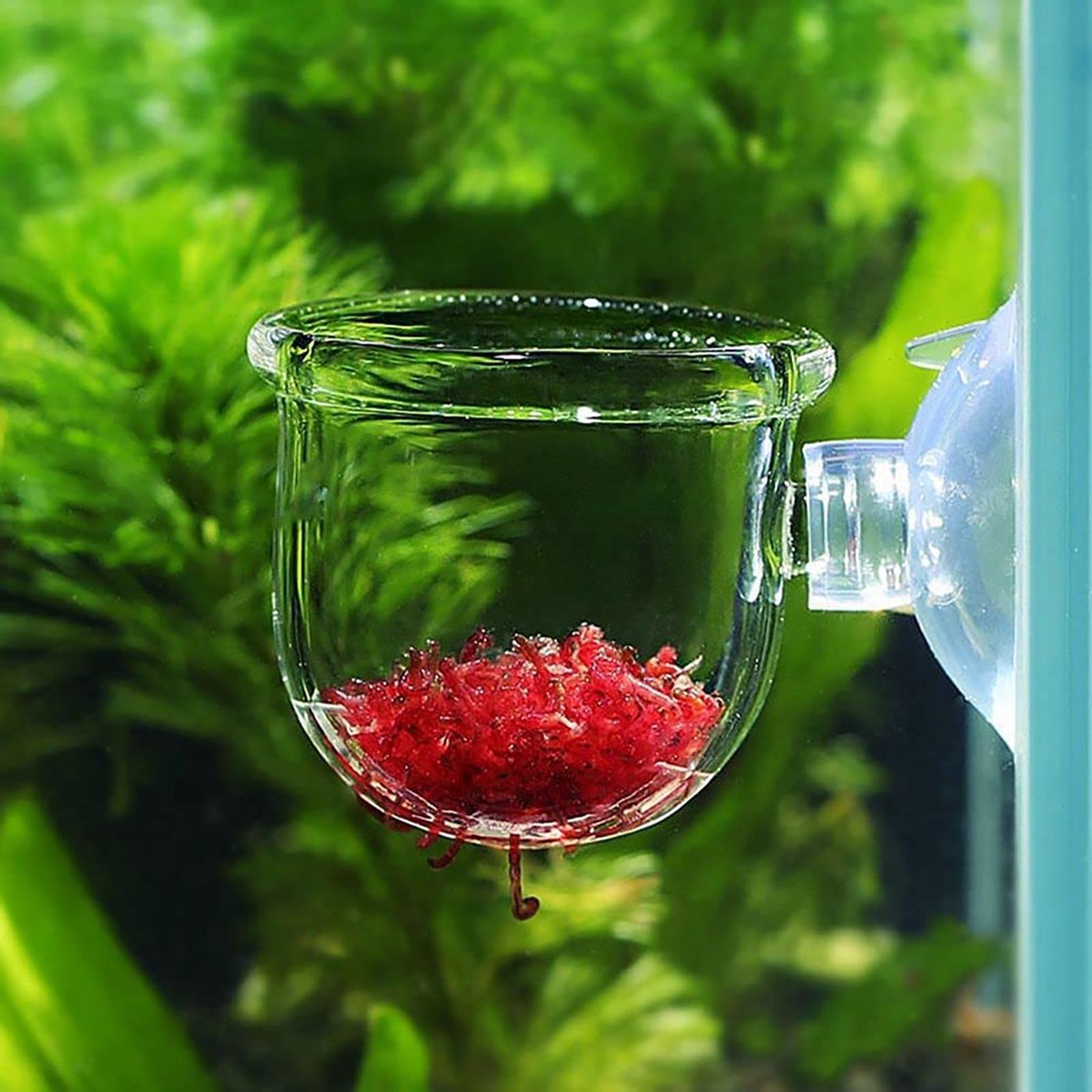 Akvaryum Dekorasyonu Bitki Sak - Plant Aquarium Pot incelemesi ve fiyatı