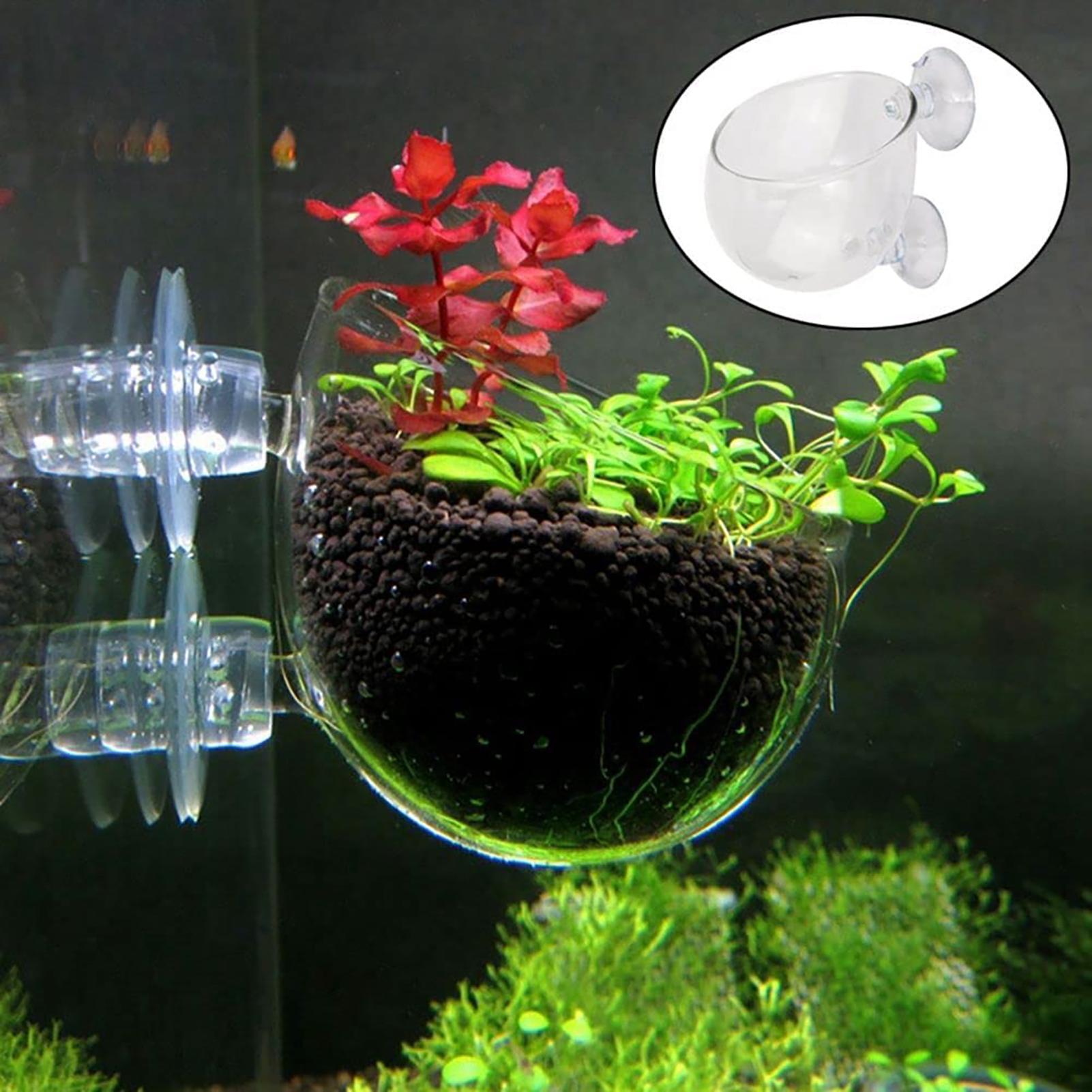 Akvaryum Dekorasyonu Bitki Sak - Plant Aquarium Pot incelemesi ve fiyatı