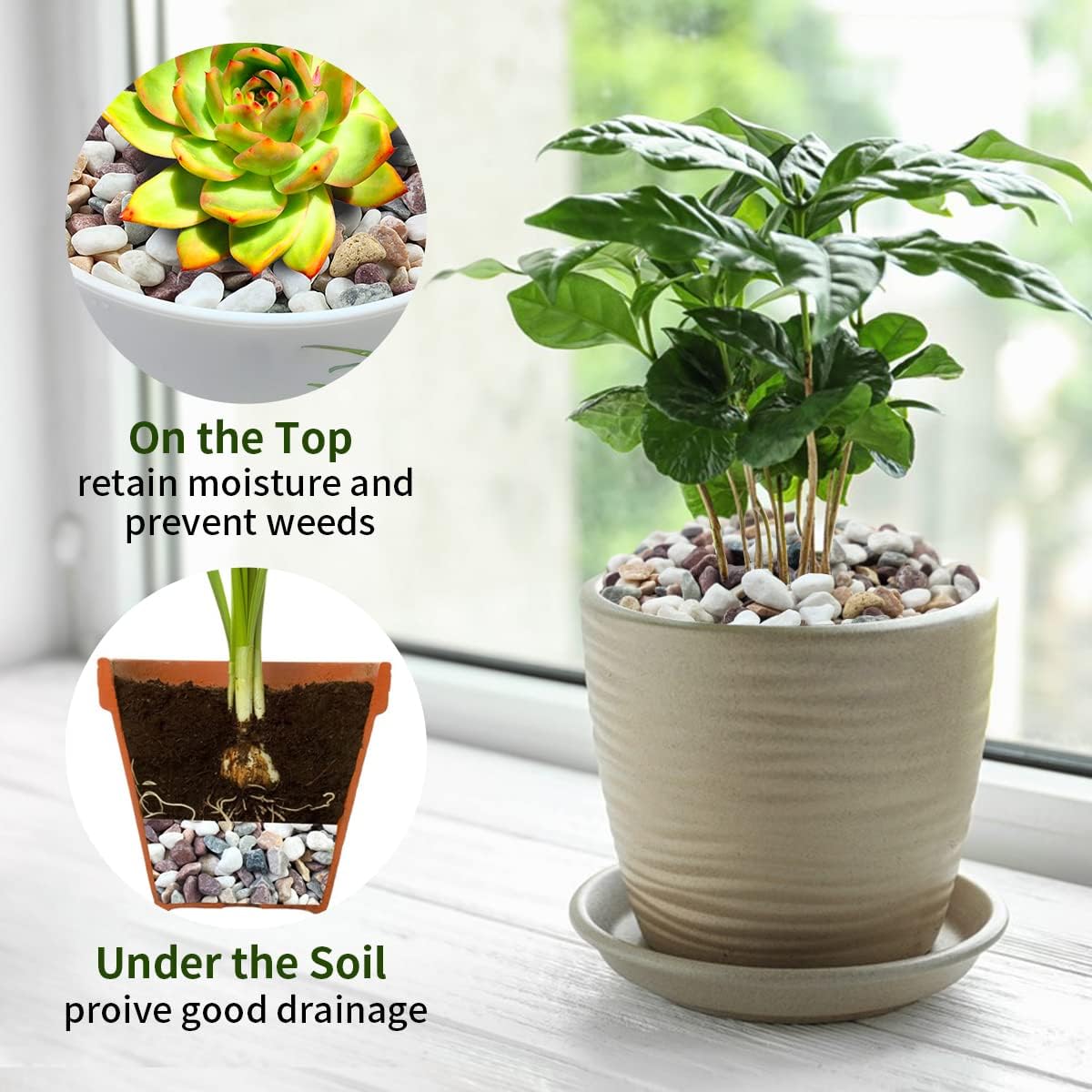 Karışık Renklerdeki Çakıl Taşl - Plant Aquarium Pot incelemesi ve fiyatı