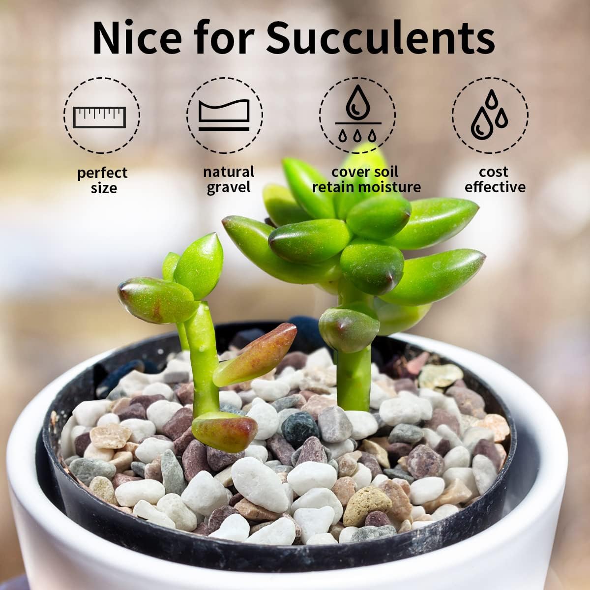 Karışık Renklerdeki Çakıl Taşl - Plant Aquarium Pot incelemesi ve fiyatı