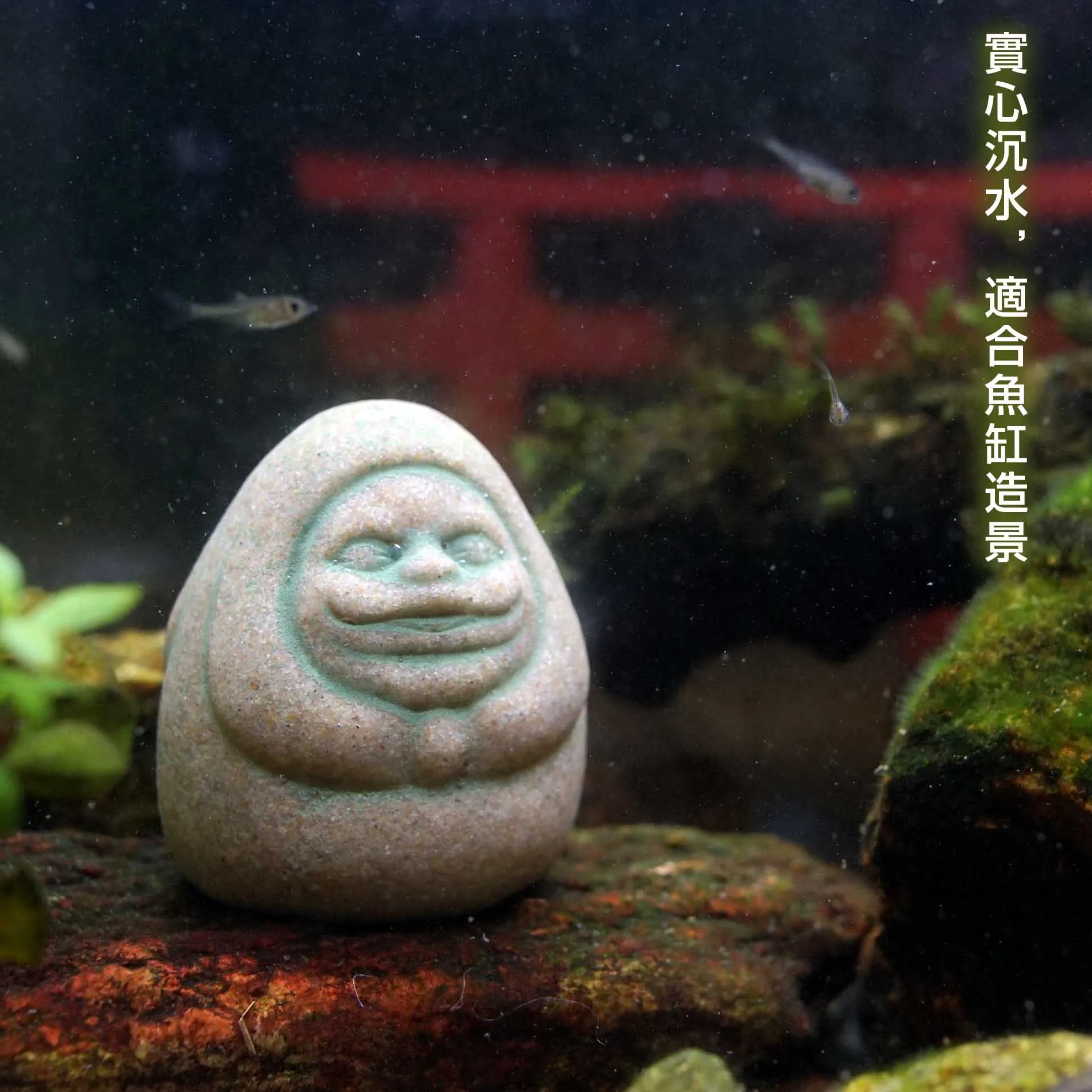 Kaminishi Gizle Dharma Anime S - Aquarium Moss incelemesi ve fiyatı