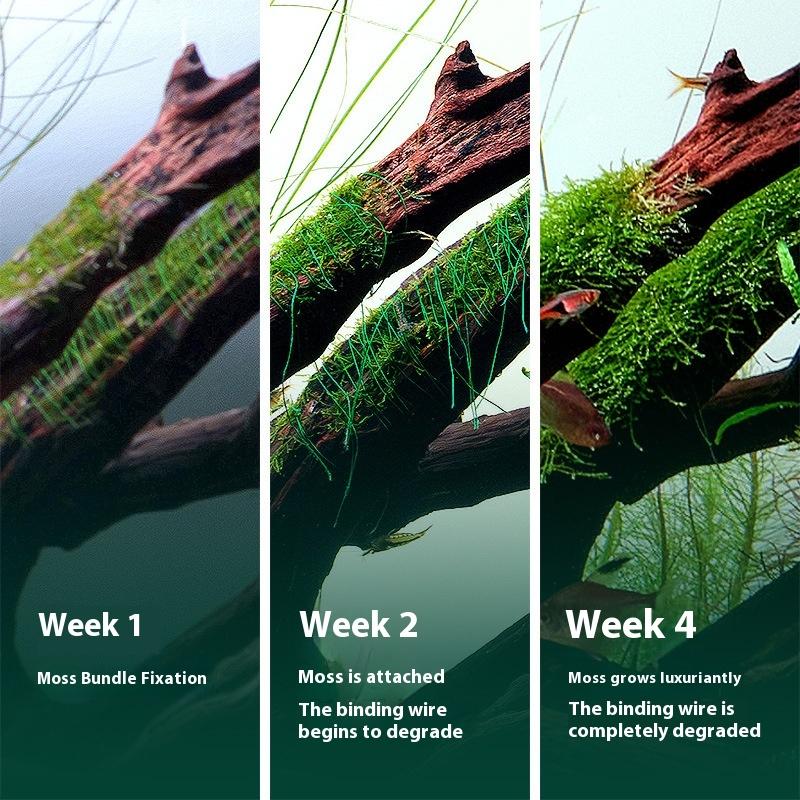 200M Doğal Olarak Parçalanabil - Aquarium Moss incelemesi ve fiyatı