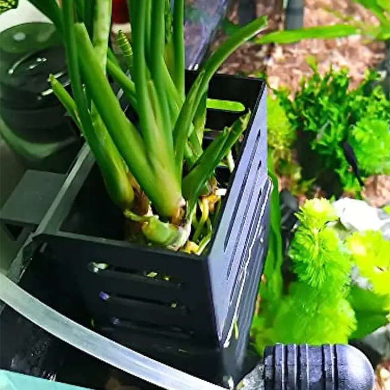 Pet Balık Tankı Süslemeleri Ak - Aquarium Plants Live incelemesi ve fiyatı