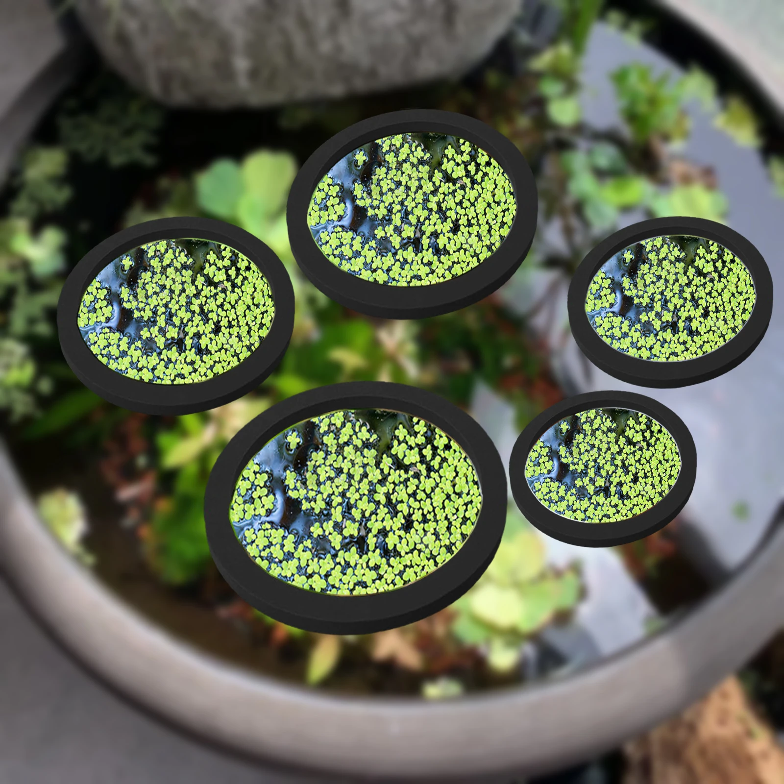 5 adet EVA balık besleme halka - Planted Tank incelemesi ve fiyatı