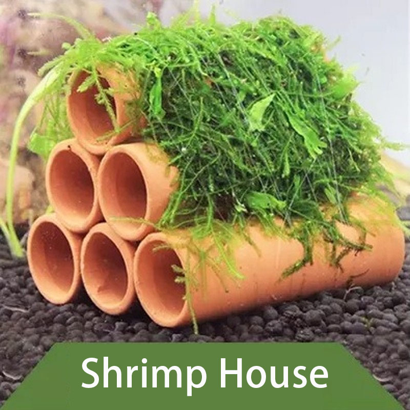Kil Akvaryum Dekorasyon Balık  - Aquarium Plants Live incelemesi ve fiyatı