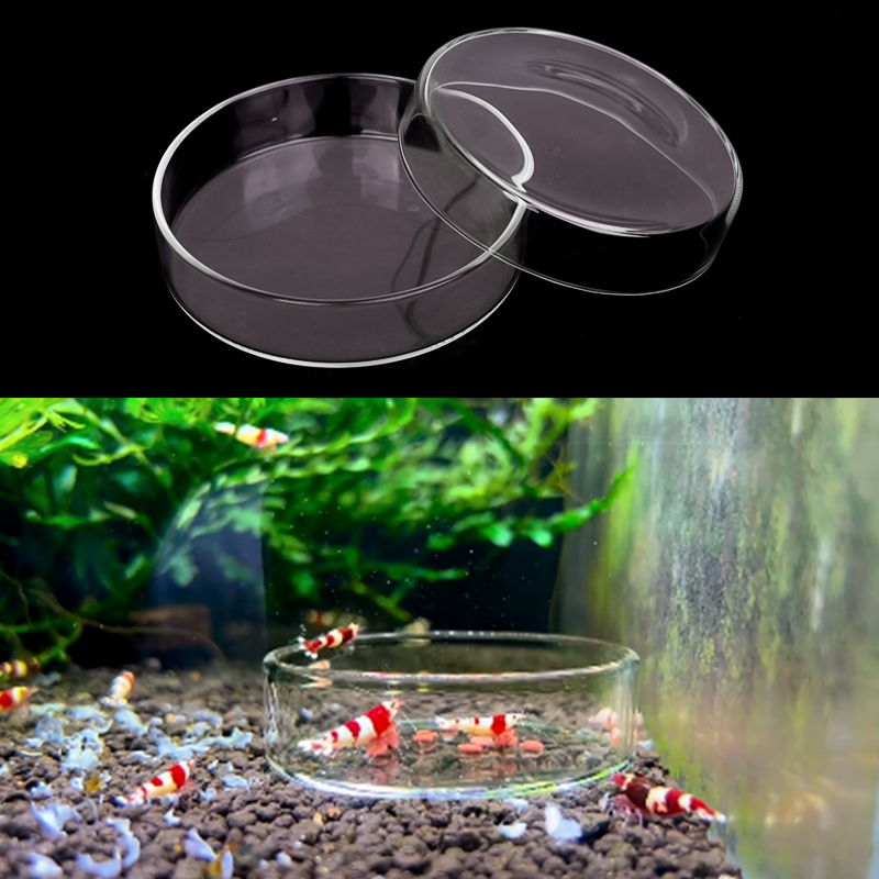 Karides besleme kabı Yüksek Şe - Aquarium Fertilizer incelemesi ve fiyatı
