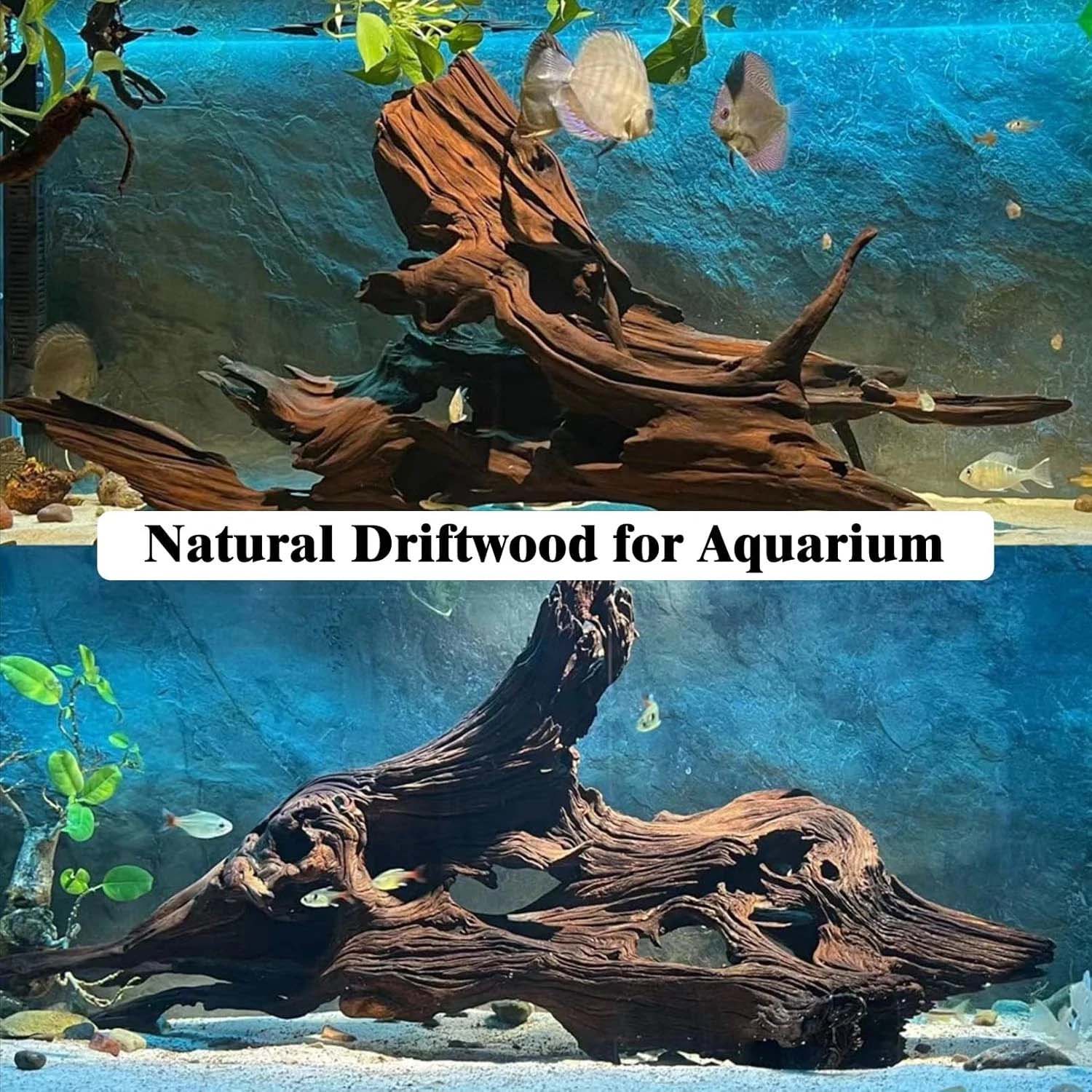 15-20CM 1 Adet Doğal Driftwood - Aquarium Plants Live incelemesi ve fiyatı