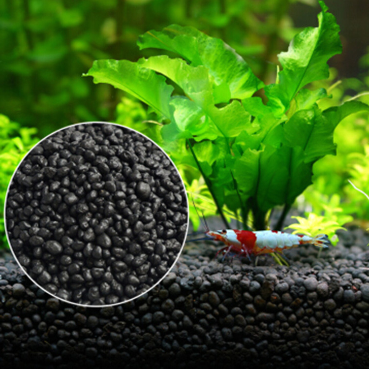 Akvaryum bitki tohumları topra - Aquarium Fertilizer incelemesi ve fiyatı