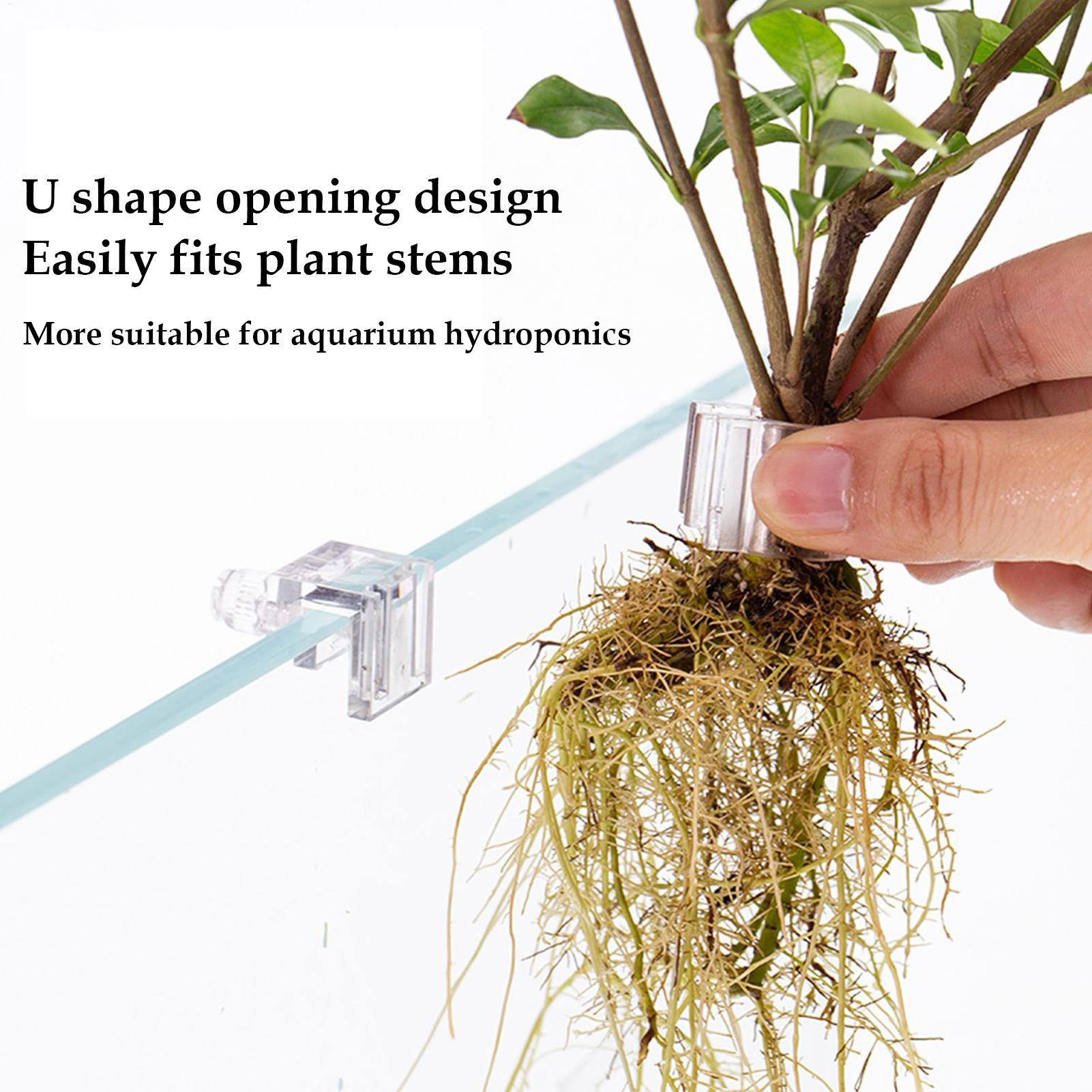 Mini Balık Tankı Saksı 6 Adet  - Aquarium Fertilizer incelemesi ve fiyatı