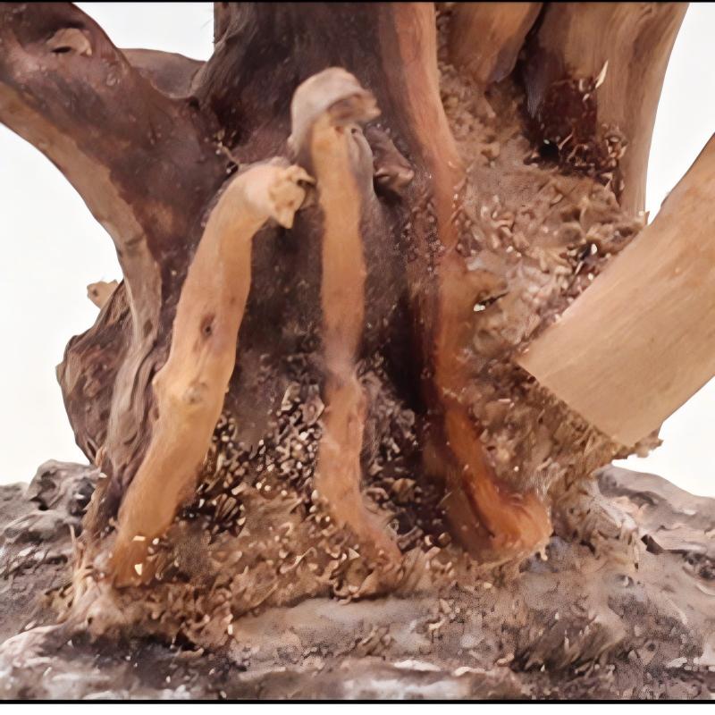 1 adet akvaryum peyzaj ahşap s - Aquarium Driftwood incelemesi ve fiyatı