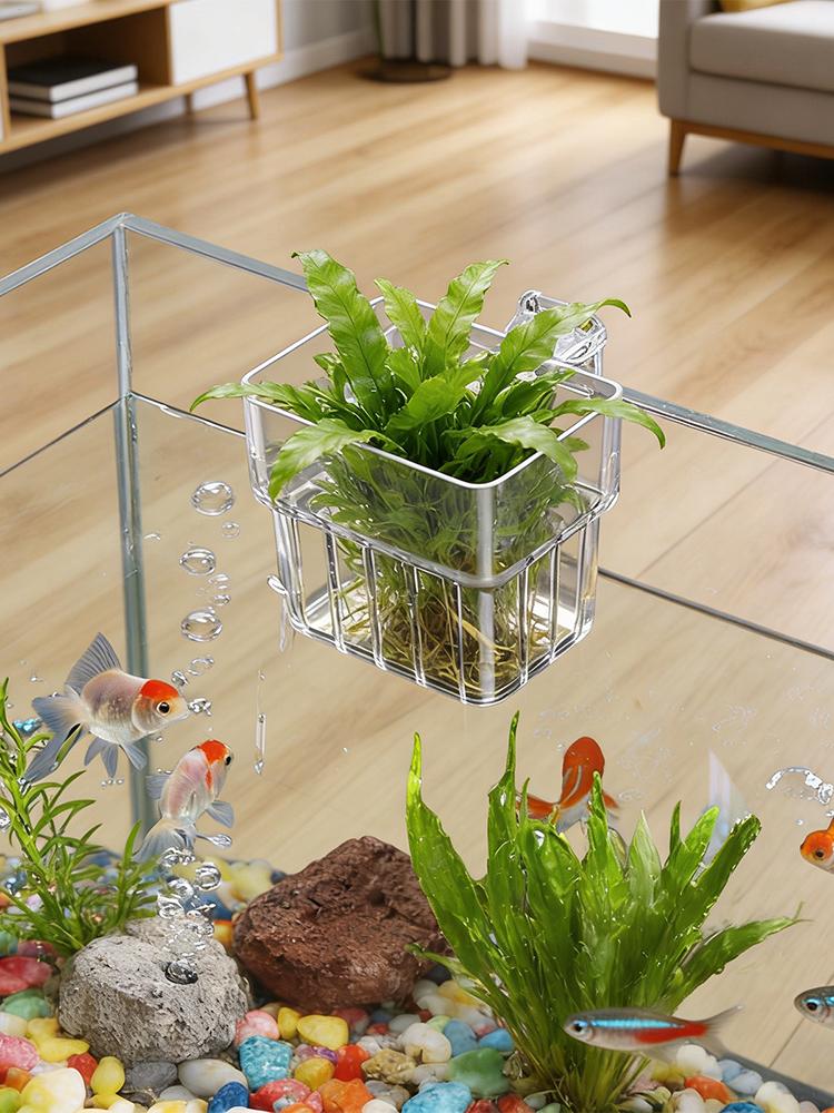 Akvaryum Bitki Tutucu Şeffaf A - Plant Aquarium Pot incelemesi ve fiyatı