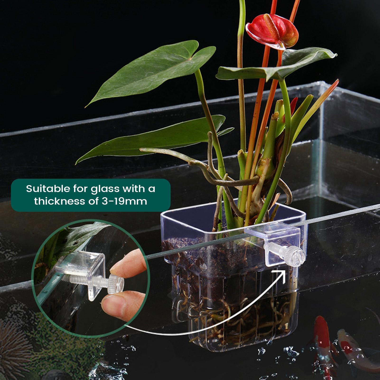 Akvaryum Bitki Tutucu Şeffaf A - Plant Aquarium Pot incelemesi ve fiyatı