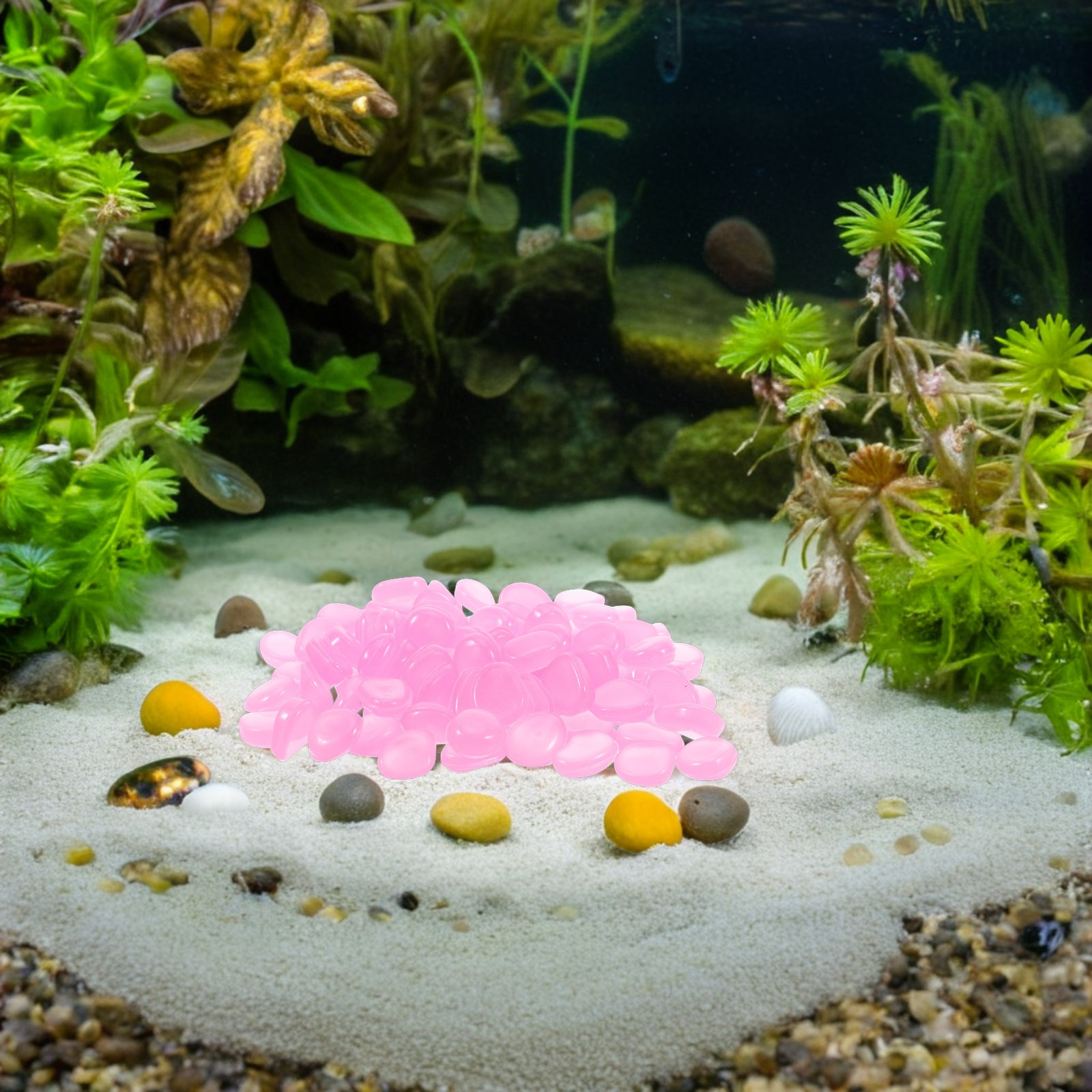 Akvaryum, Balık Tankı, Bahçe v - Plant Aquarium Pot incelemesi ve fiyatı