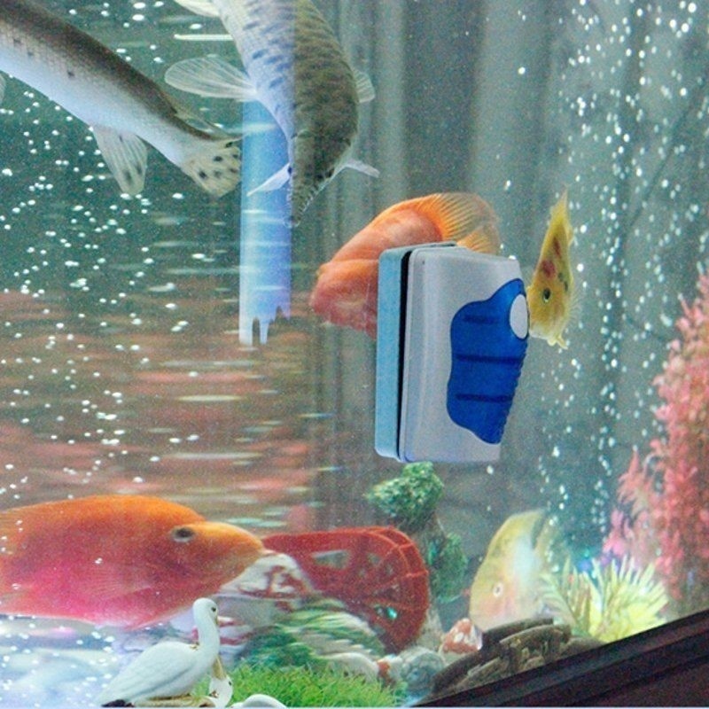 Balık Tankı Cam Temizleyici, Y - Planted Aquarium Cleaning incelemesi ve fiyatı