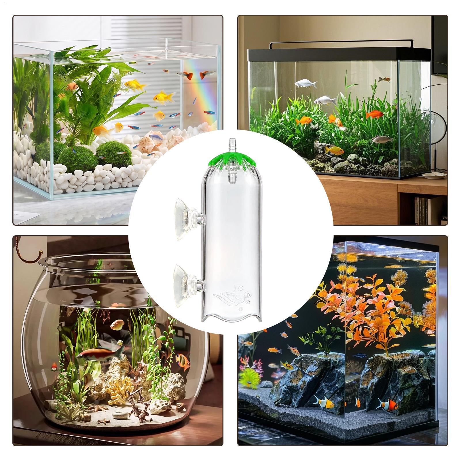 Balık Tankı Hava Pompası Difüz - Aquarium Planted Tank Filter incelemesi ve fiyatı