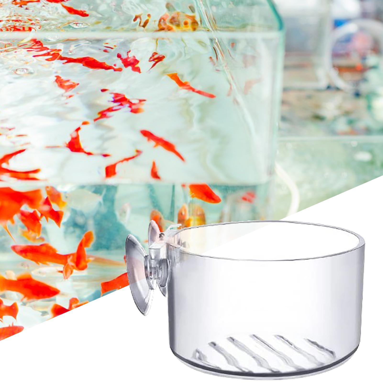 Akrilik Su Bitkisi Kabı, Akvar - Plant Aquarium Pot incelemesi ve fiyatı