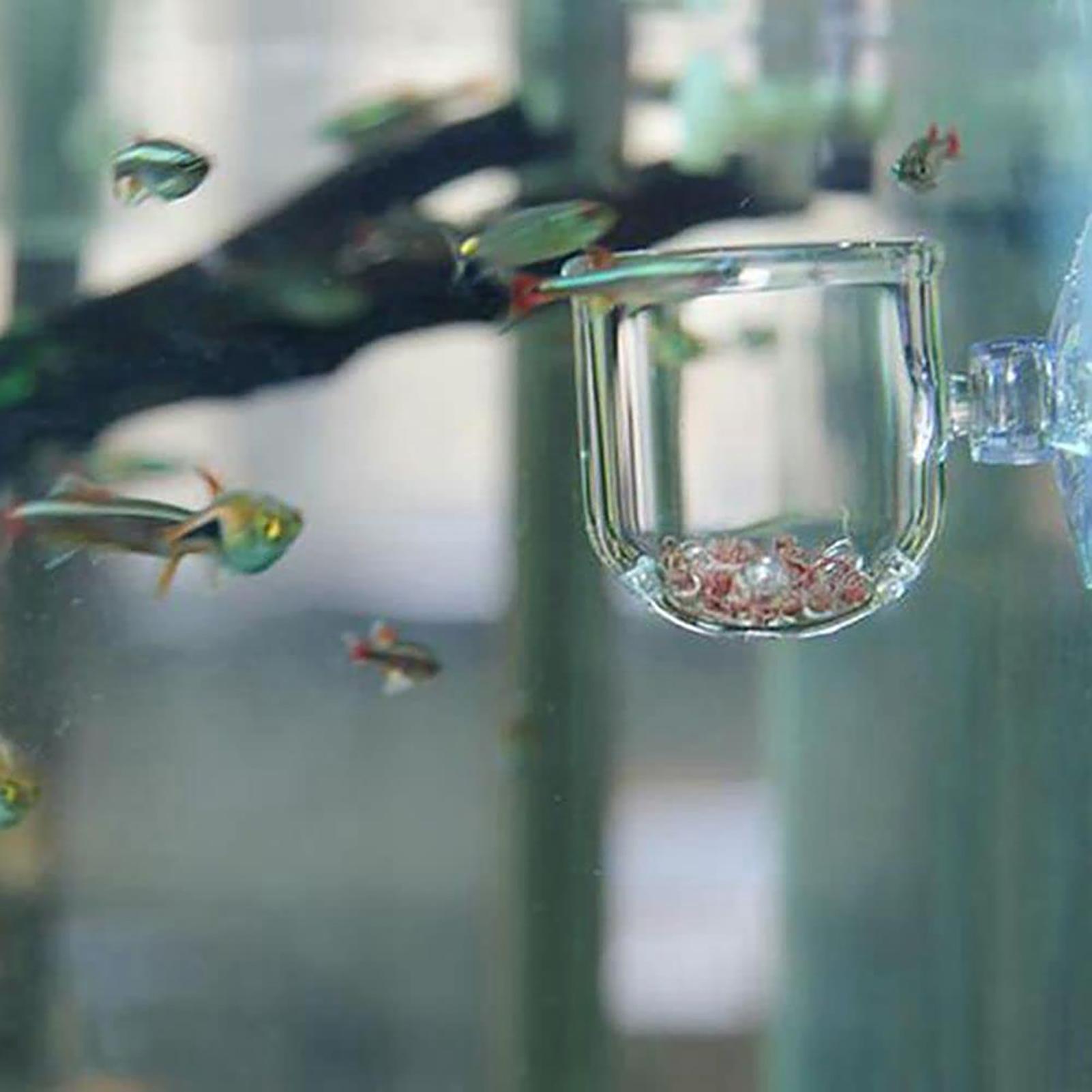 Akrilik Su Bitkisi Kabı, Akvar - Plant Aquarium Pot incelemesi ve fiyatı