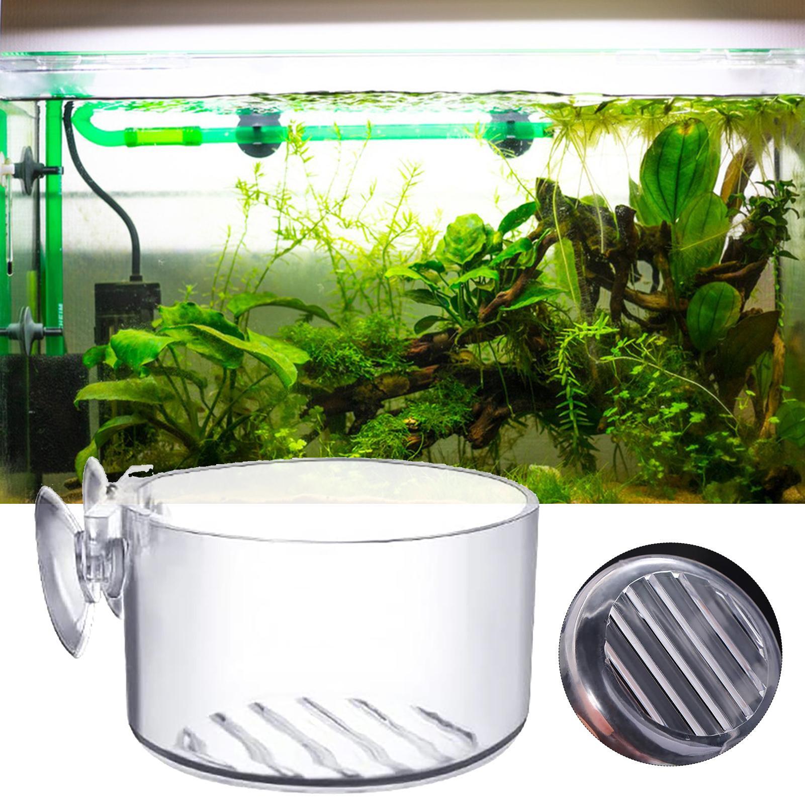 Akrilik Su Bitkisi Kabı, Akvar - Plant Aquarium Pot incelemesi ve fiyatı