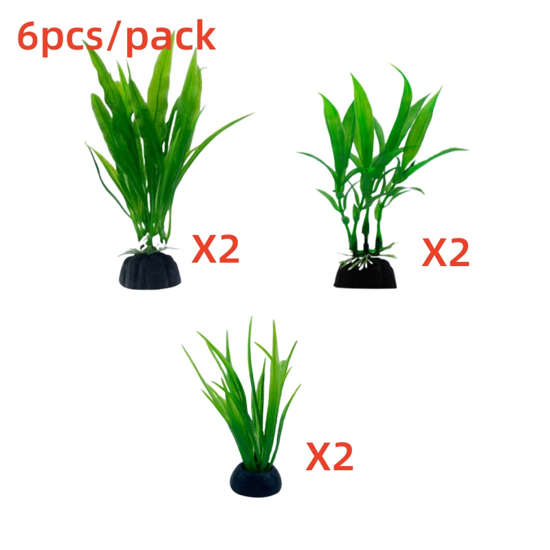 6 adetlik paketler halinde sun - Aquarium Plants Live incelemesi ve fiyatı